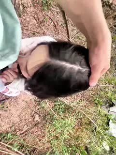 户外野战操淫荡亲姐_长时间嫩穴没有被滋养的亲姐车上主动露出_勾引弟弟驾车树林野战被颜射一次内射一次_爽死了！