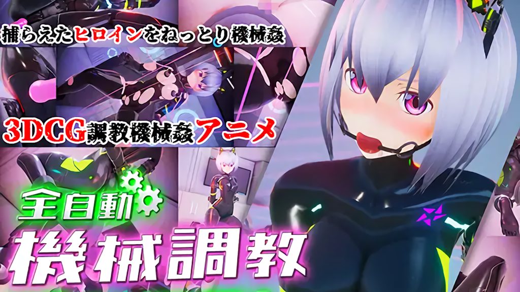 全自動機械調教プログラム